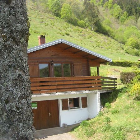 Chalet Les Jonquilles La Bresse Dış mekan fotoğraf