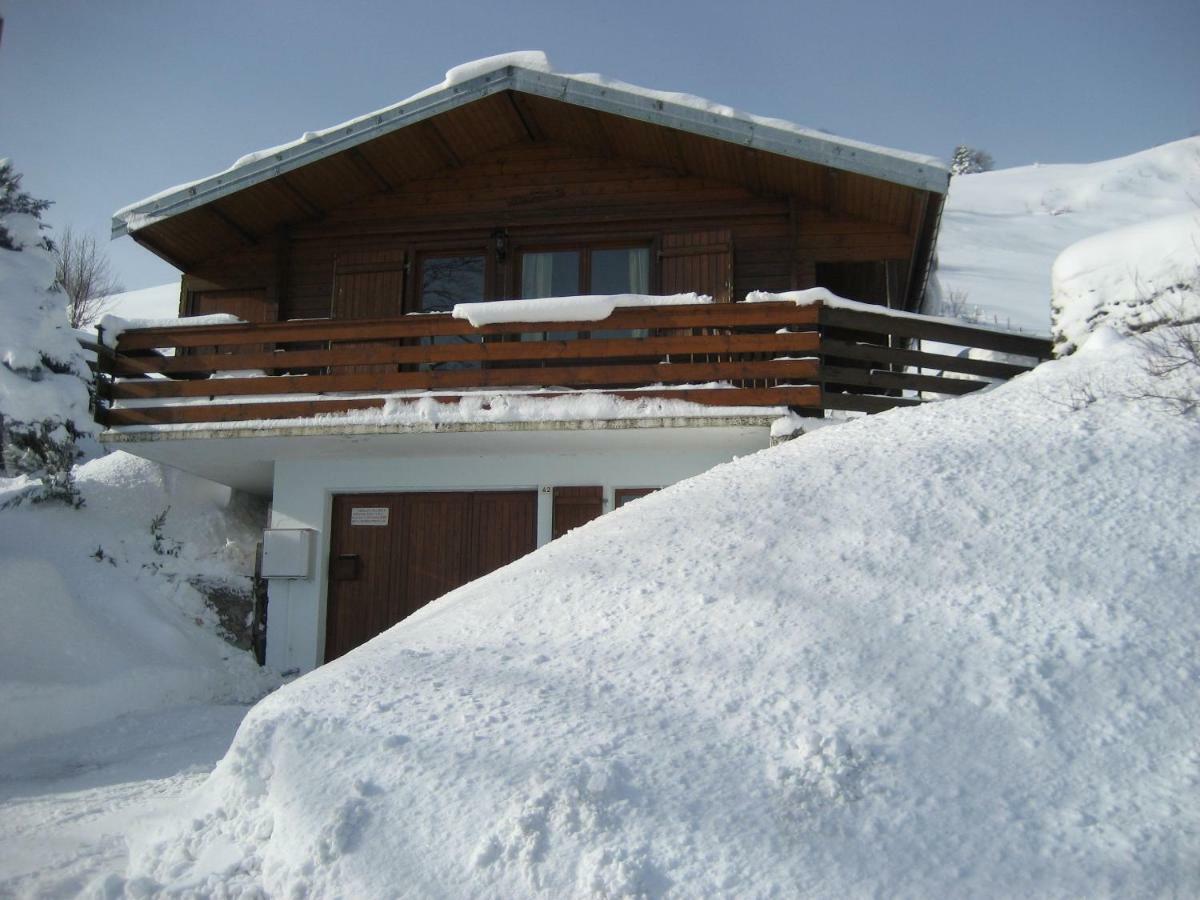 Chalet Les Jonquilles La Bresse Dış mekan fotoğraf
