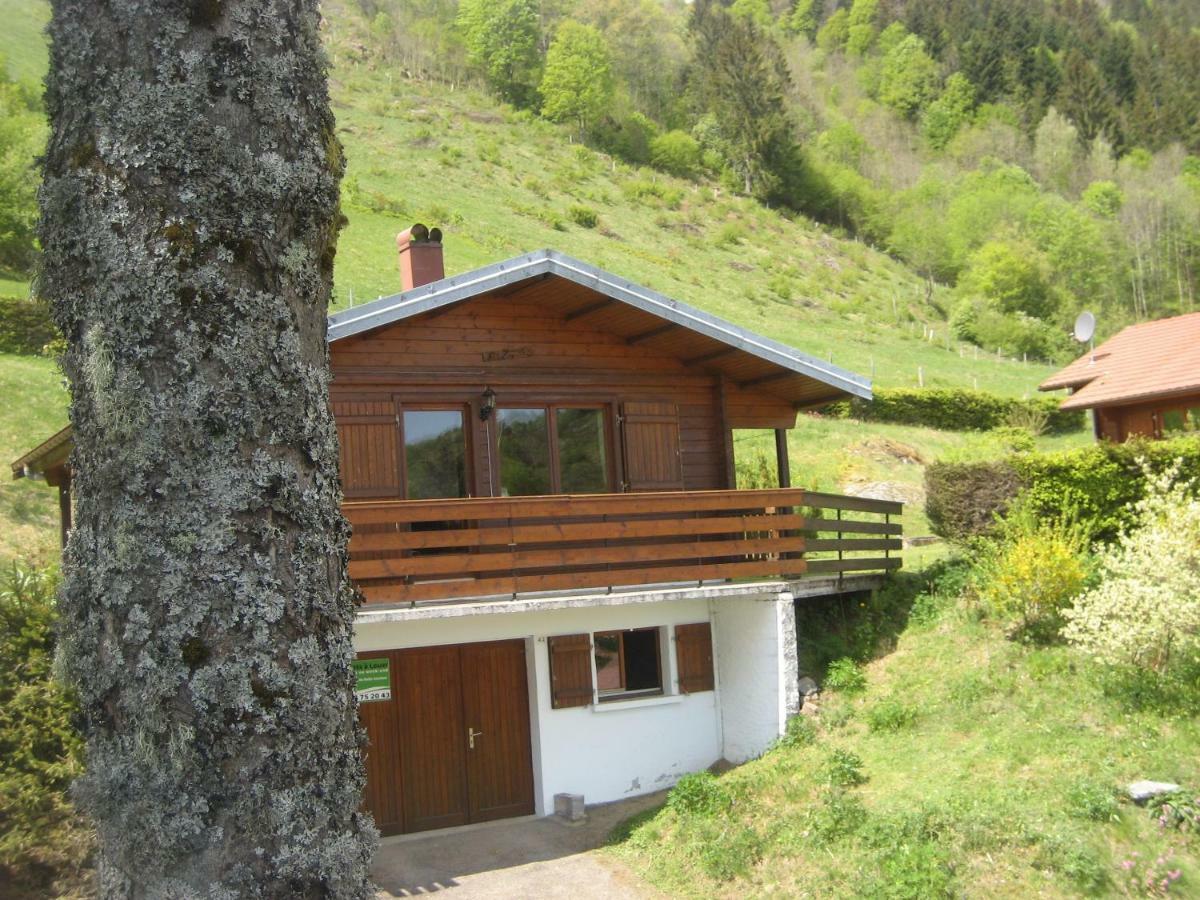 Chalet Les Jonquilles La Bresse Dış mekan fotoğraf